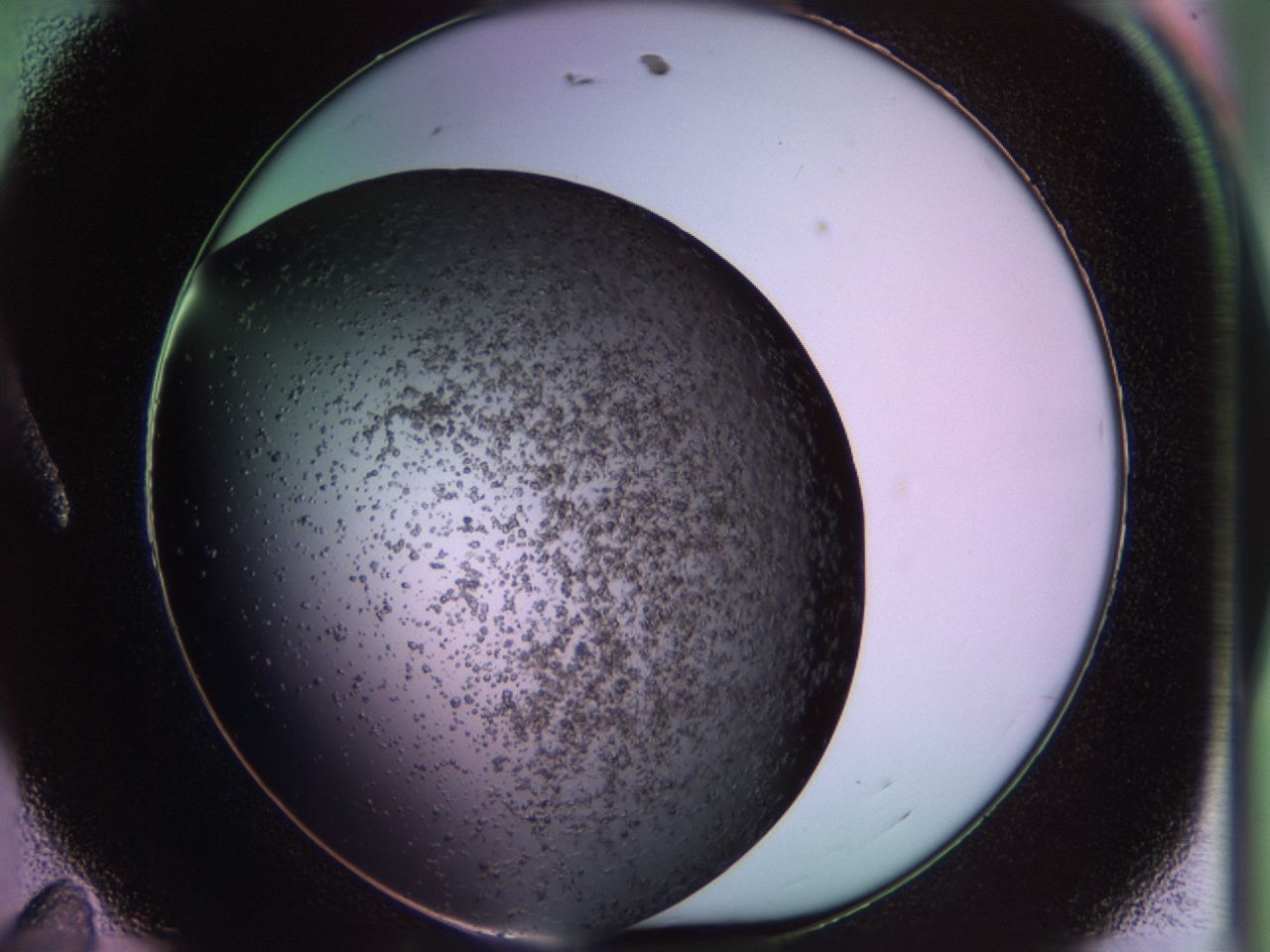 02pq_A11_ImagerDefaults_6.jpg