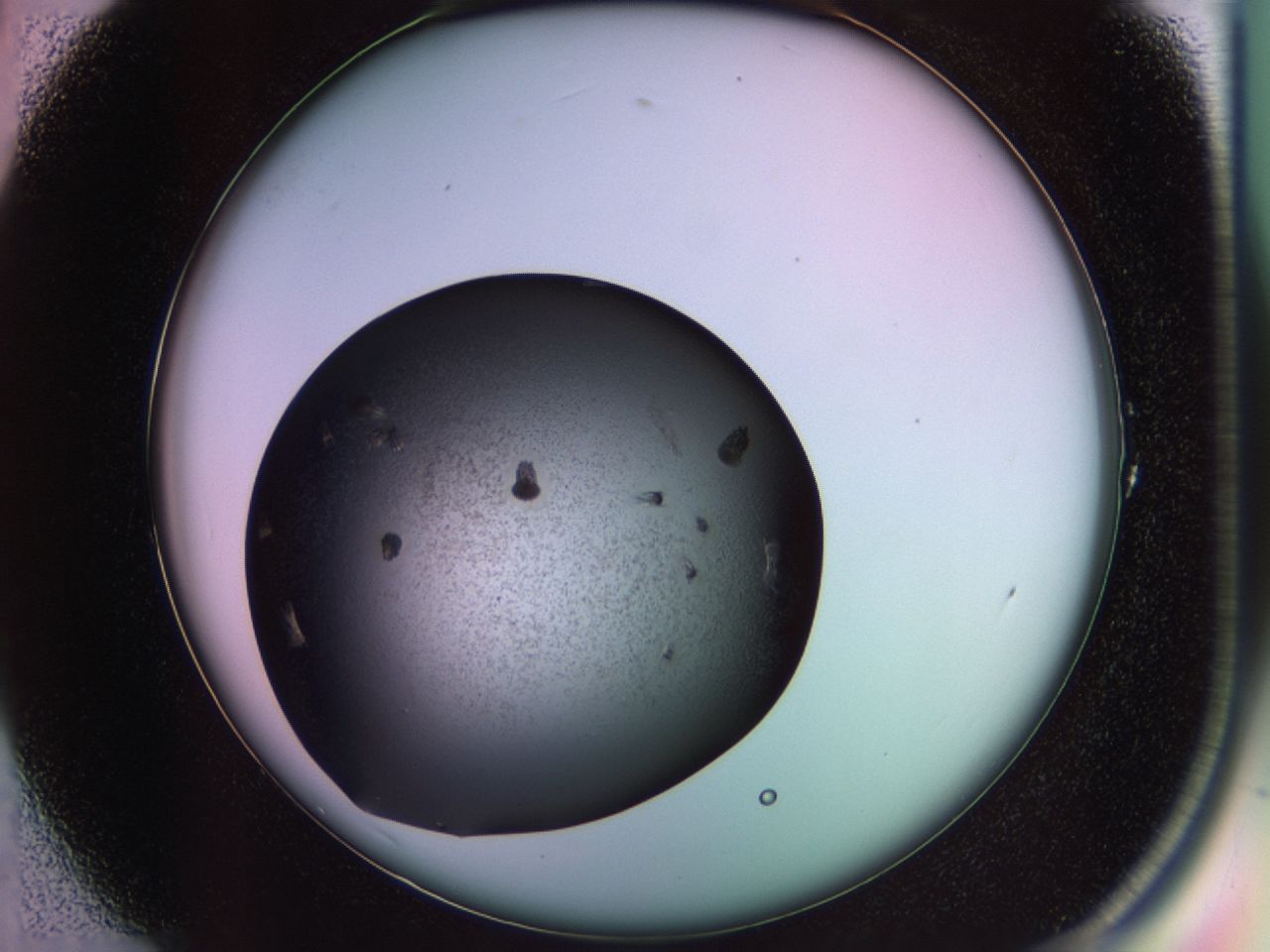 02pq_A1_ImagerDefaults_9.jpg