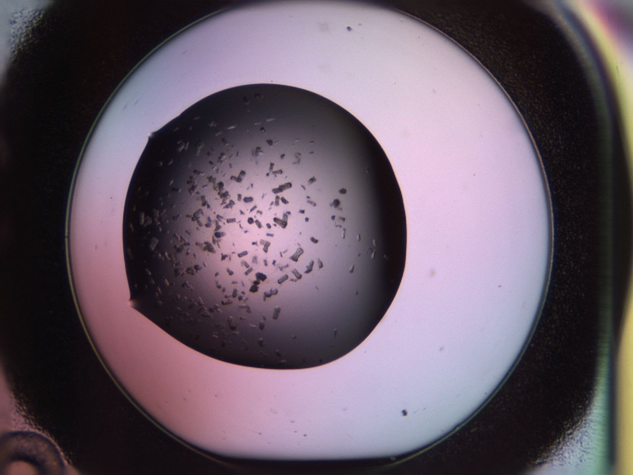02pq_C10_ImagerDefaults_9.jpg
