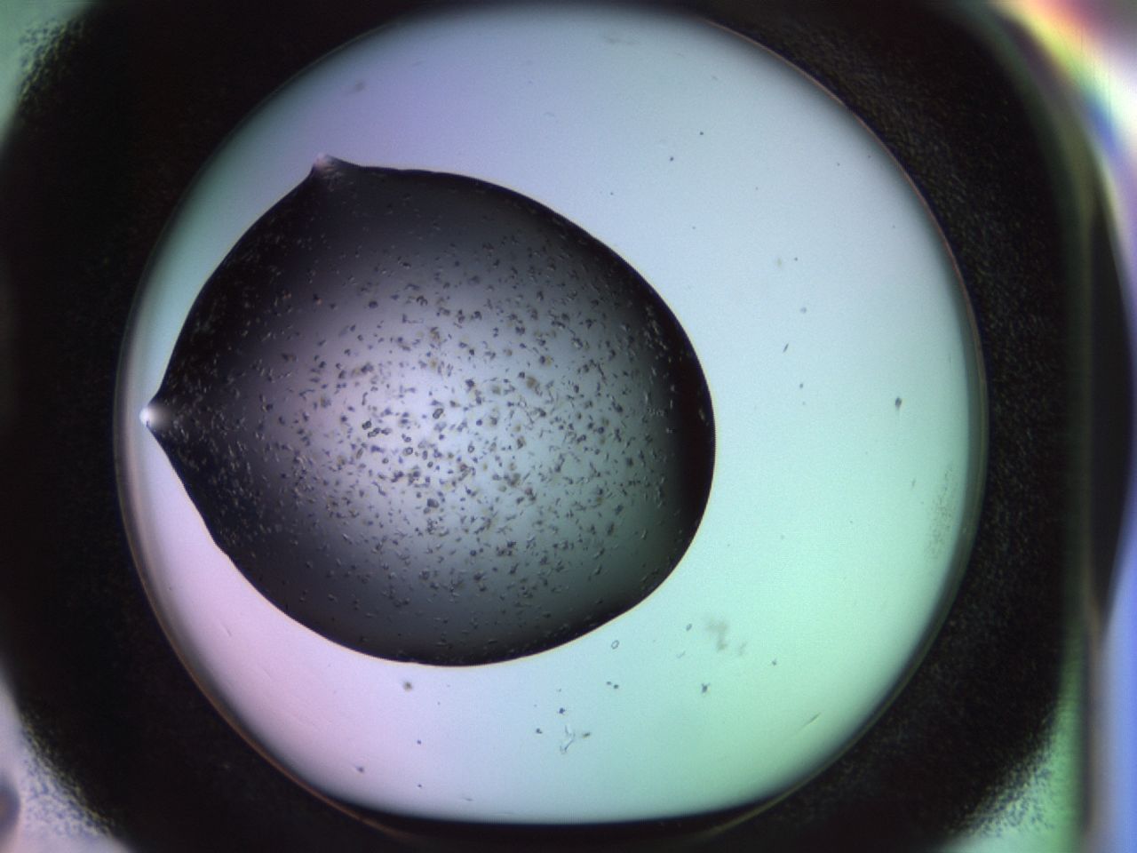 02pq_D7_ImagerDefaults_6.jpg