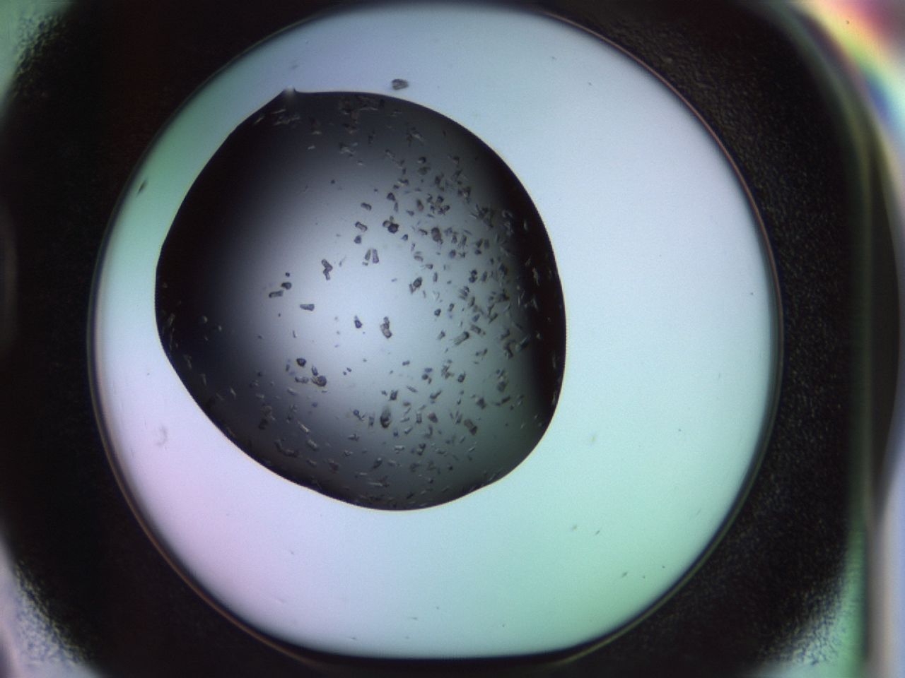 02pq_D8_ImagerDefaults_9.jpg