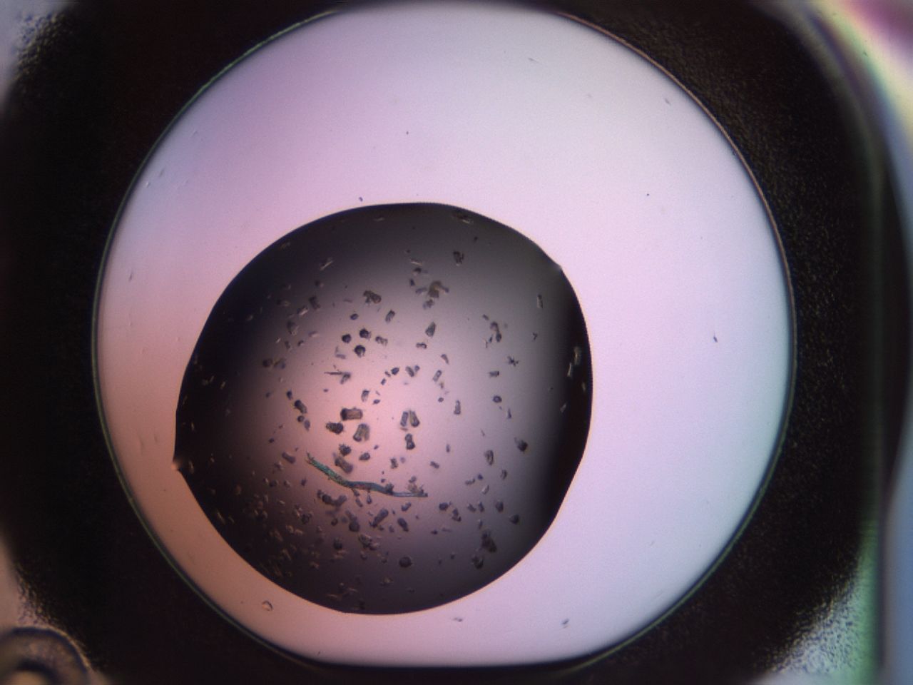 02pq_D10_ImagerDefaults_9.jpg