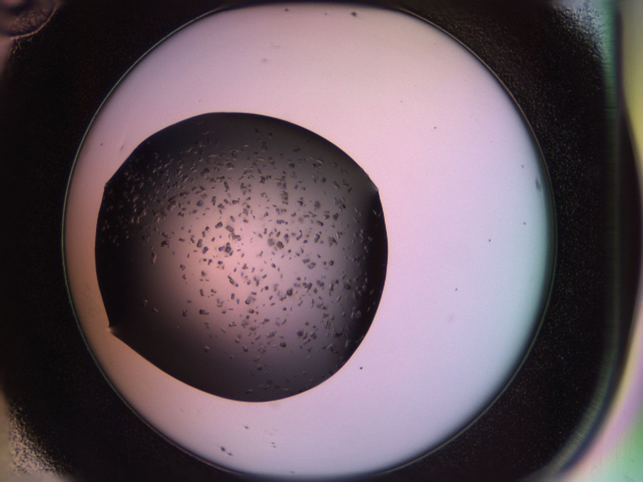 02pq_D10_ImagerDefaults_7.jpg