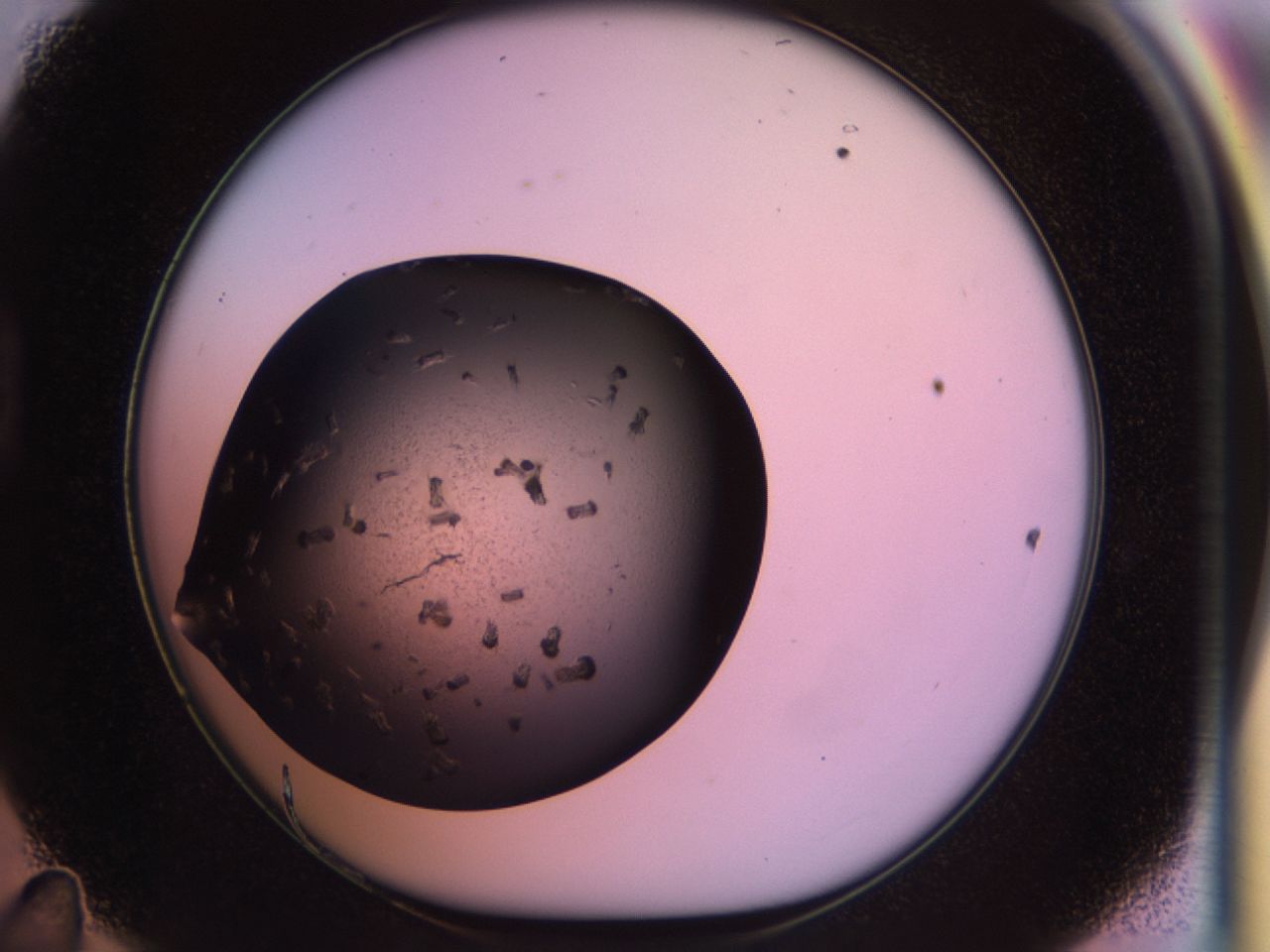 02pq_D11_ImagerDefaults_9.jpg