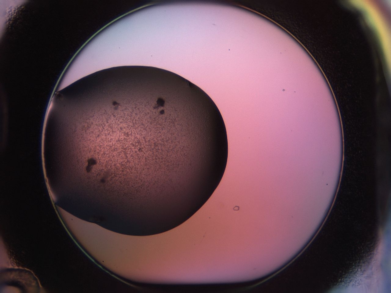 02pq_D12_ImagerDefaults_7.jpg