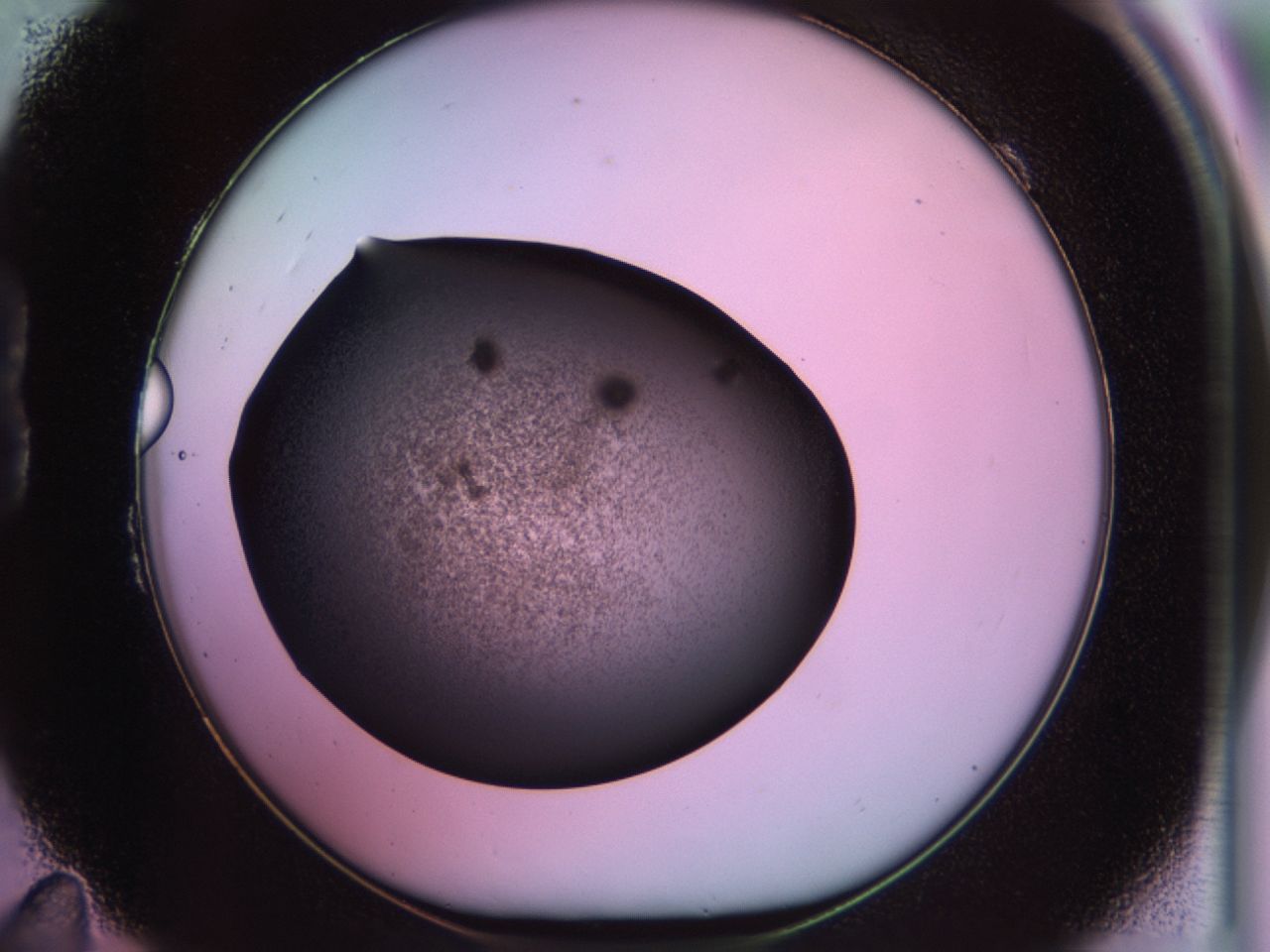 02pr_B11_ImagerDefaults_7.jpg