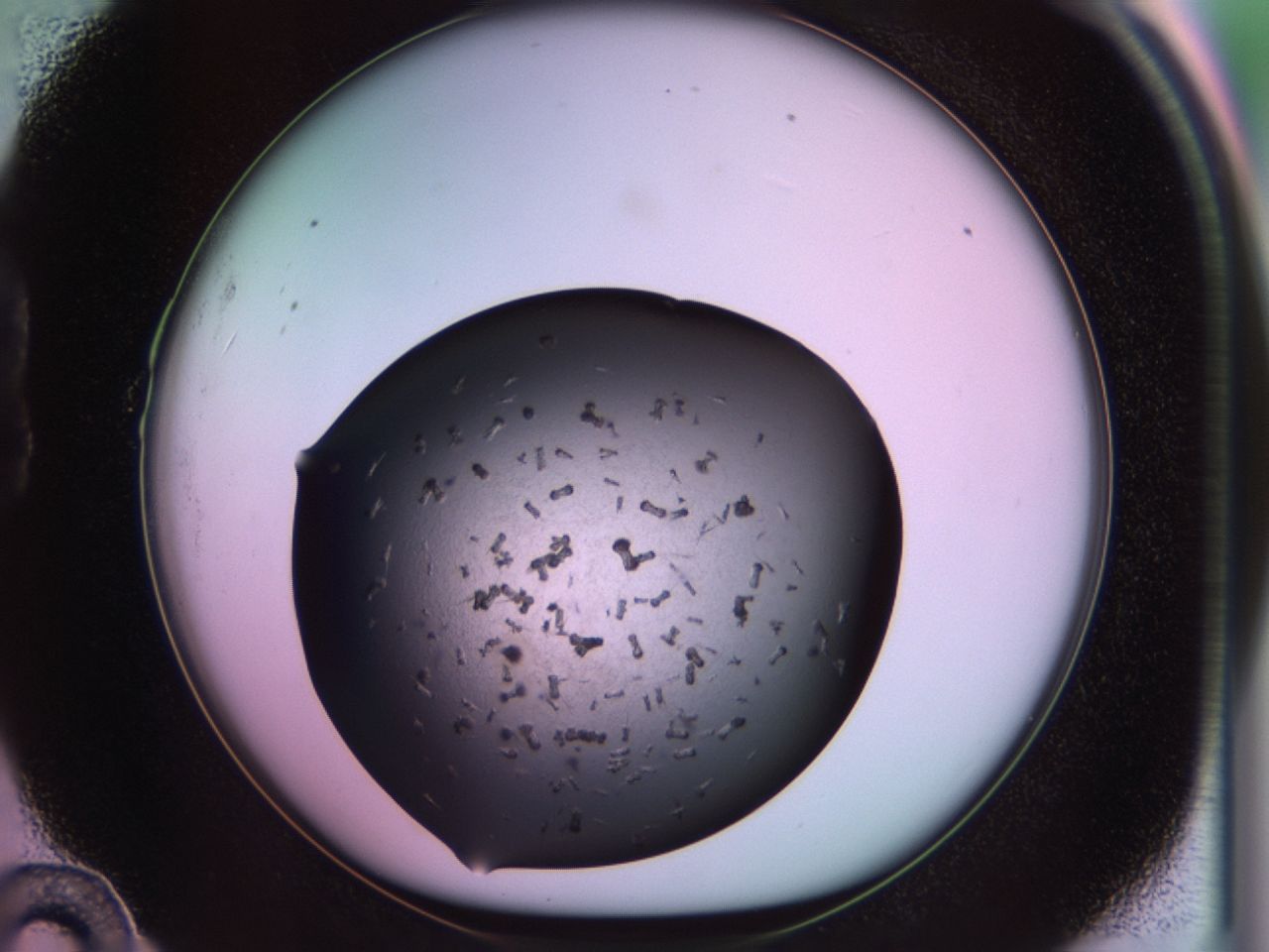 02pr_B10_ImagerDefaults_9.jpg