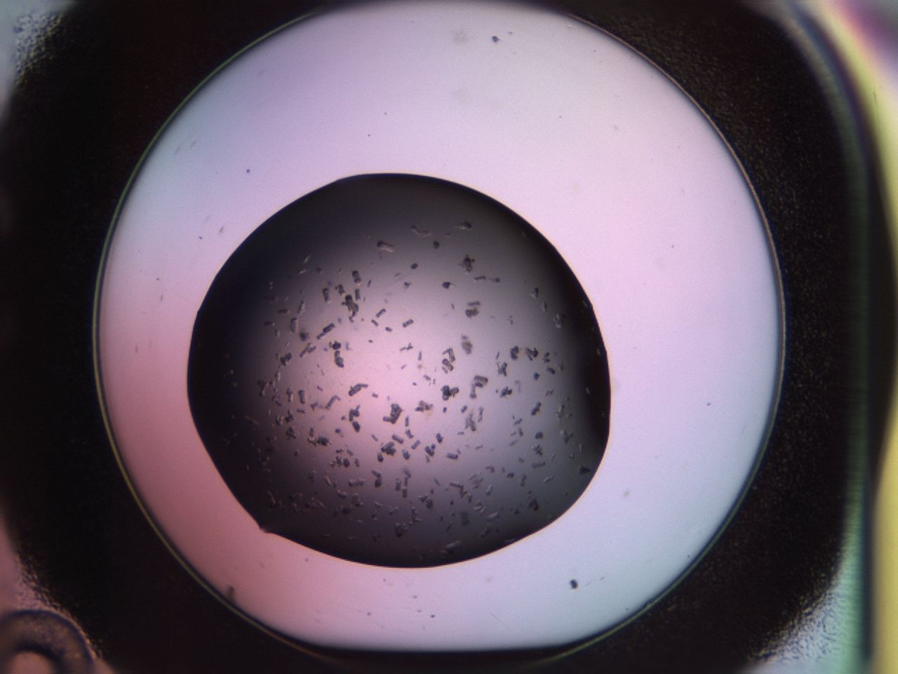 02pr_C10_ImagerDefaults_9.jpg