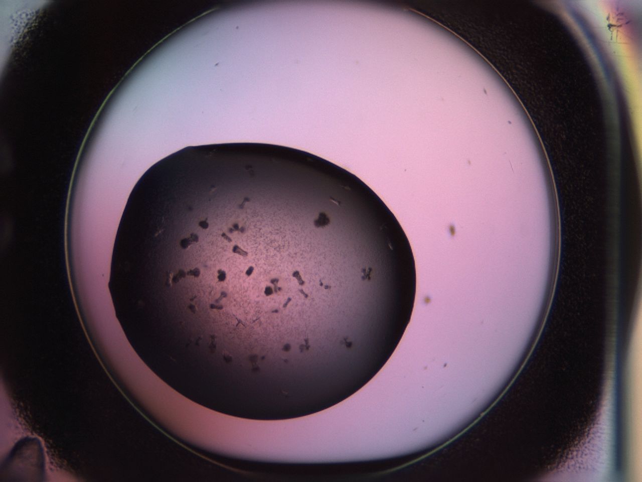 02pr_C11_ImagerDefaults_9.jpg