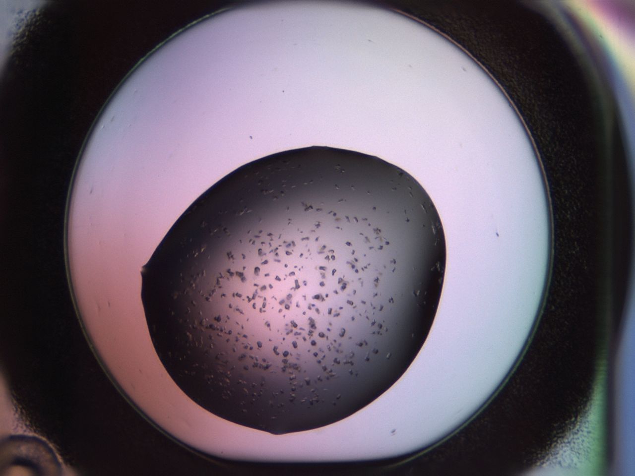 02pr_D10_ImagerDefaults_9.jpg