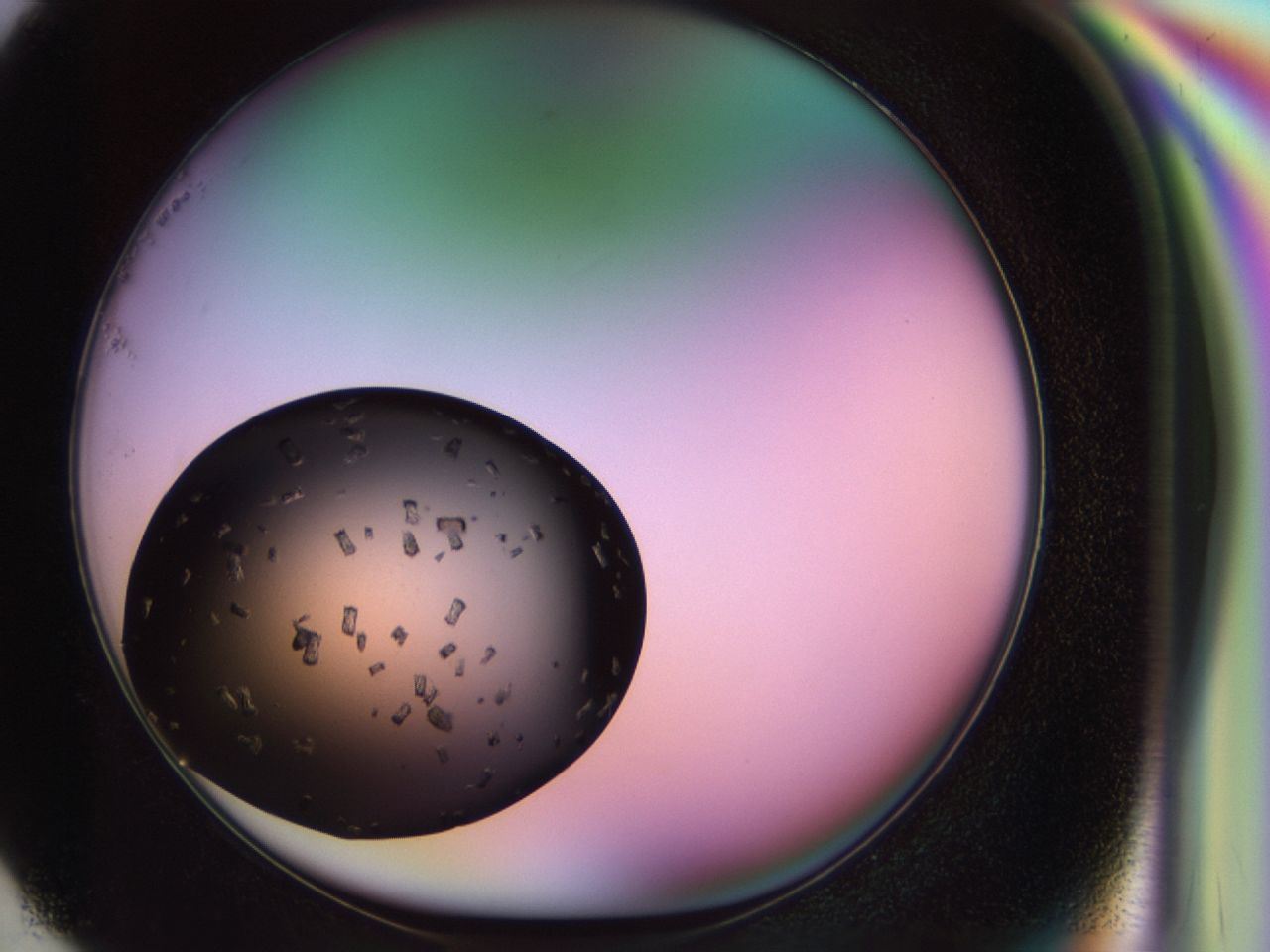02ps_G1_ImagerDefaults_9.jpg