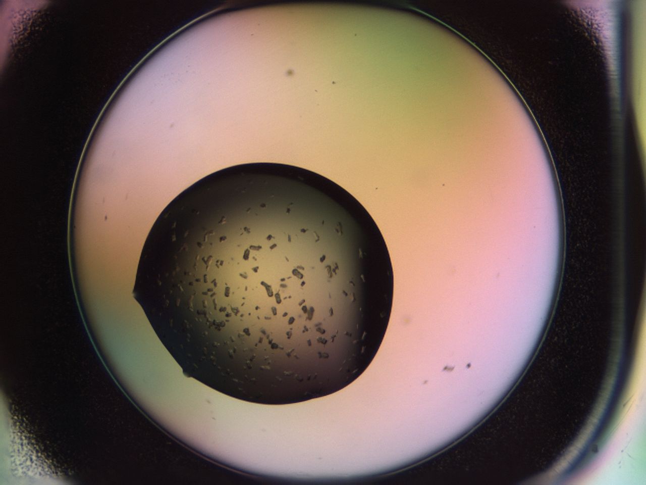 02ps_C9_ImagerDefaults_9.jpg