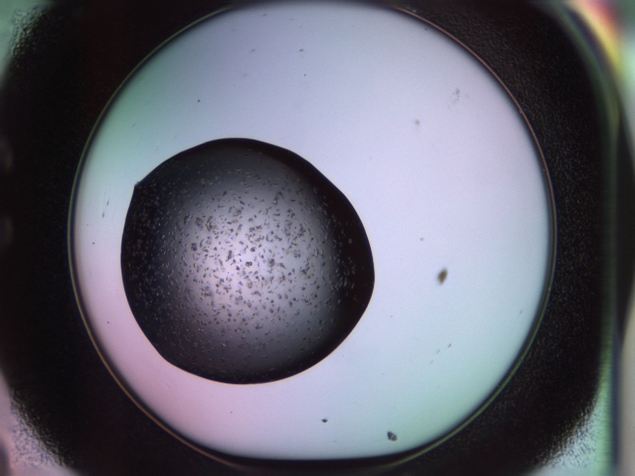 02ps_C8_ImagerDefaults_9.jpg