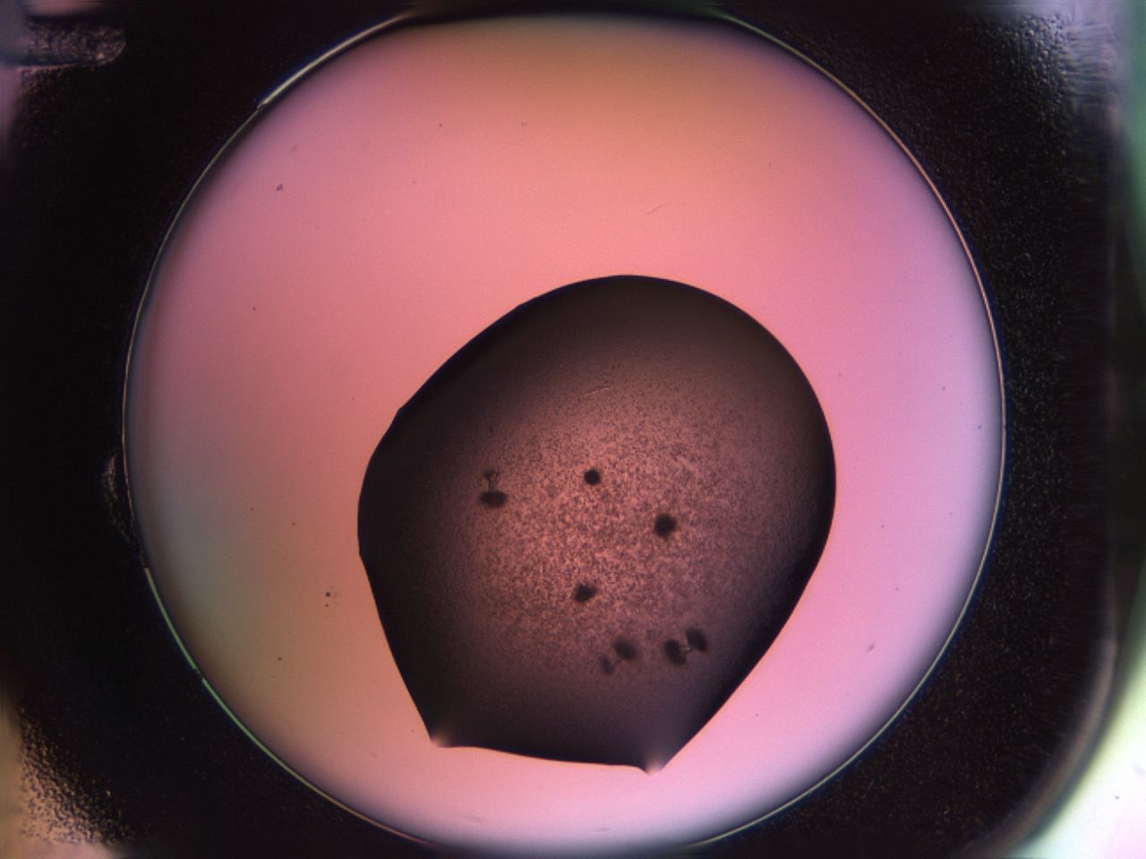 02ps_B12_ImagerDefaults_7.jpg