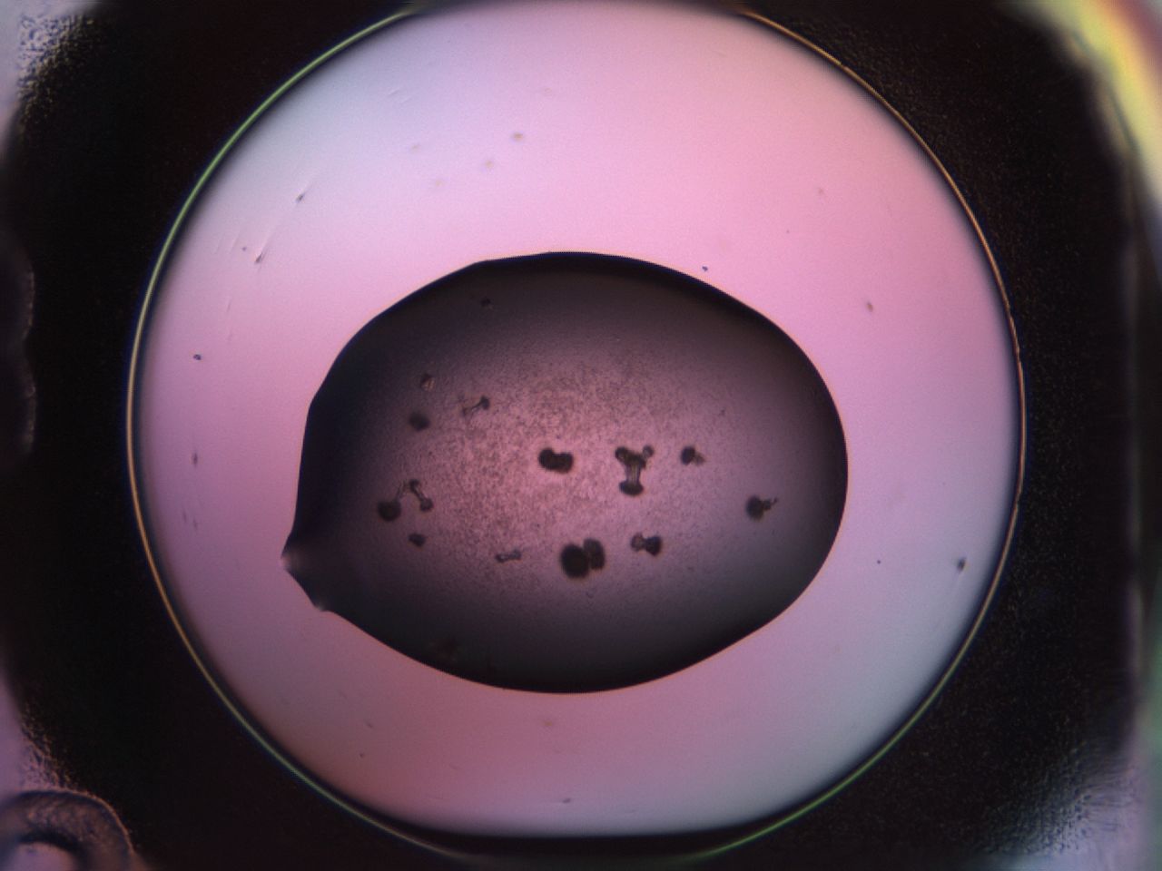 02ps_B12_ImagerDefaults_9.jpg