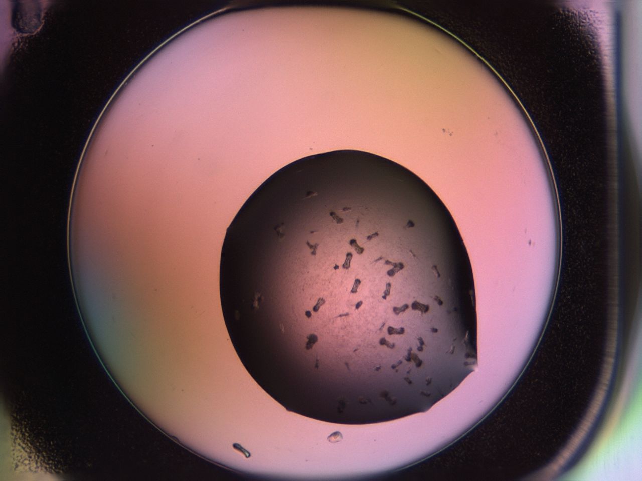 02ps_B11_ImagerDefaults_9.jpg