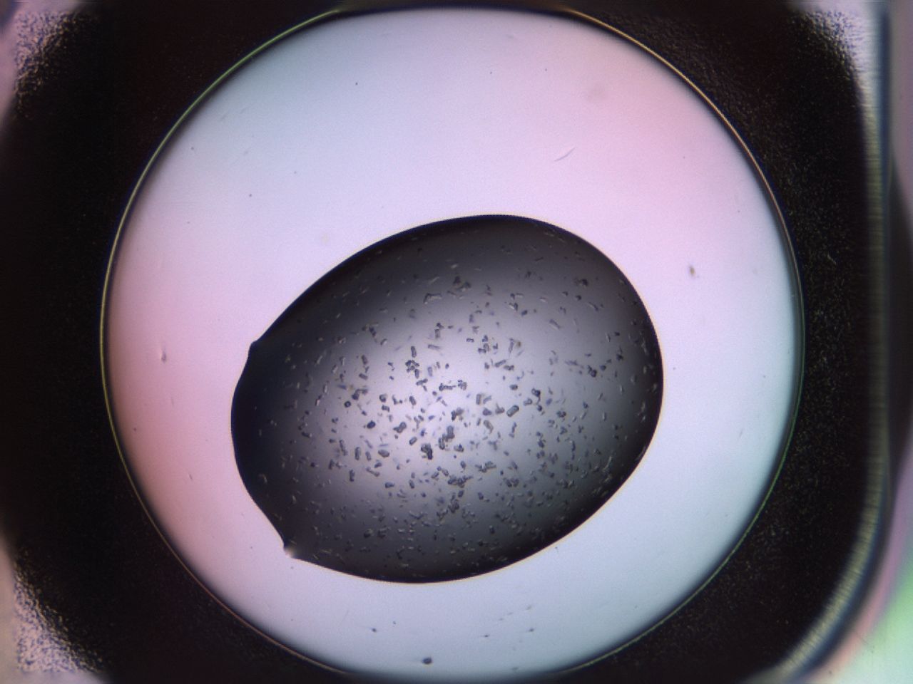 02ps_B8_ImagerDefaults_7.jpg