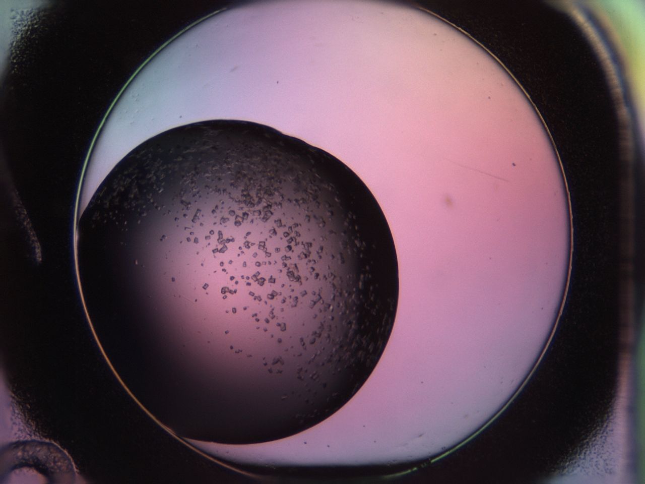 02ps_A12_ImagerDefaults_7.jpg