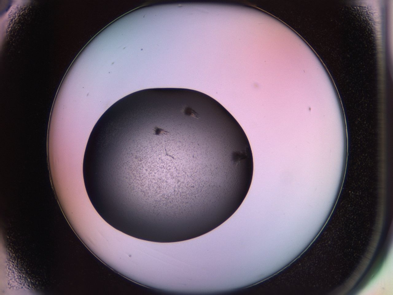 02ps_A3_ImagerDefaults_9.jpg