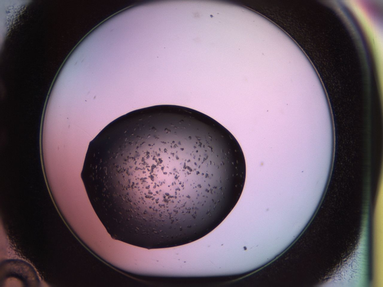 02ps_C10_ImagerDefaults_9.jpg