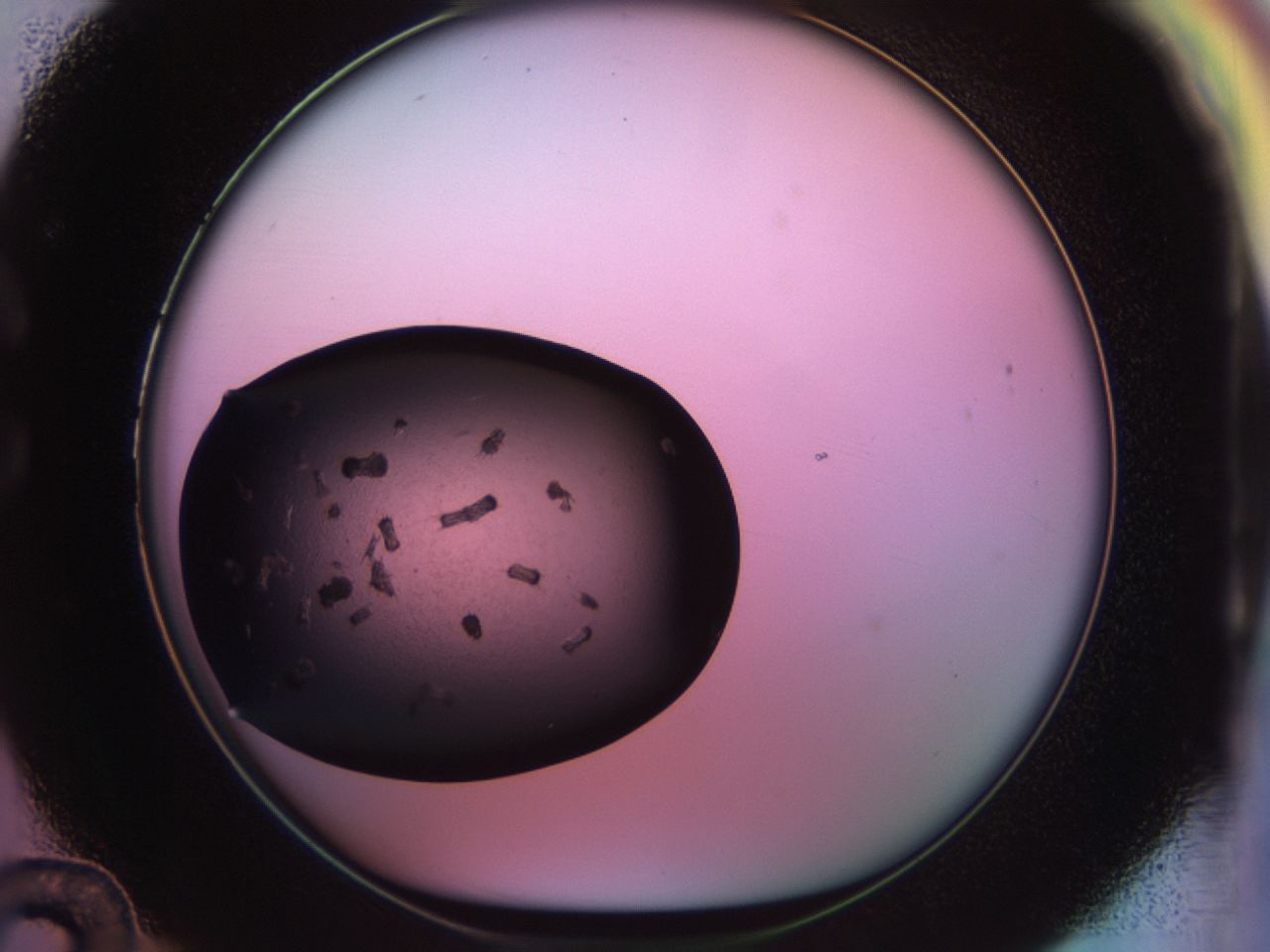 02ps_C12_ImagerDefaults_9.jpg