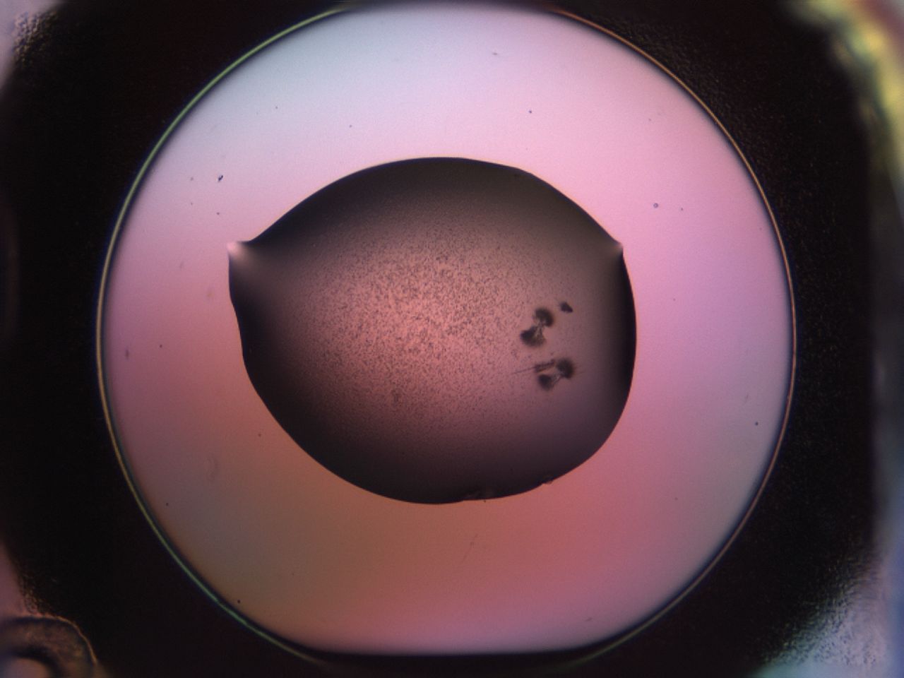 02pt_D12_ImagerDefaults_9.jpg