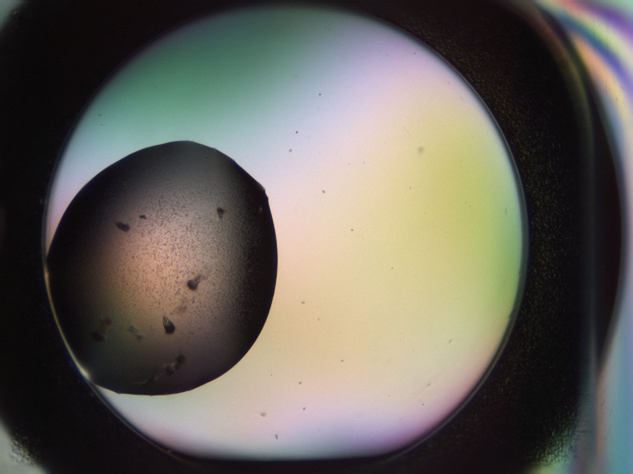 02pt_G4_ImagerDefaults_9.jpg