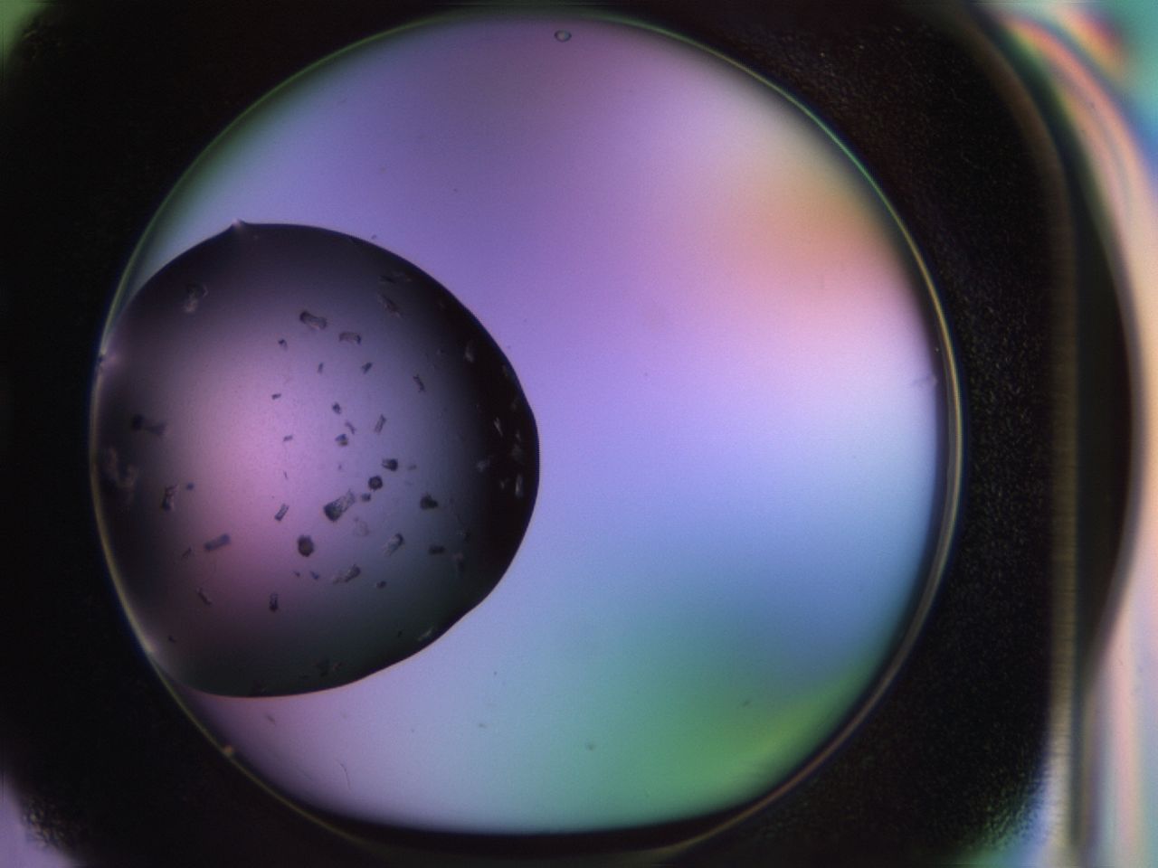 02pt_G3_ImagerDefaults_9.jpg