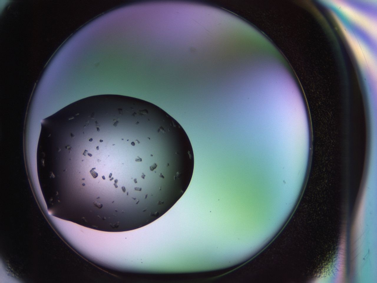 02pt_G2_ImagerDefaults_9.jpg