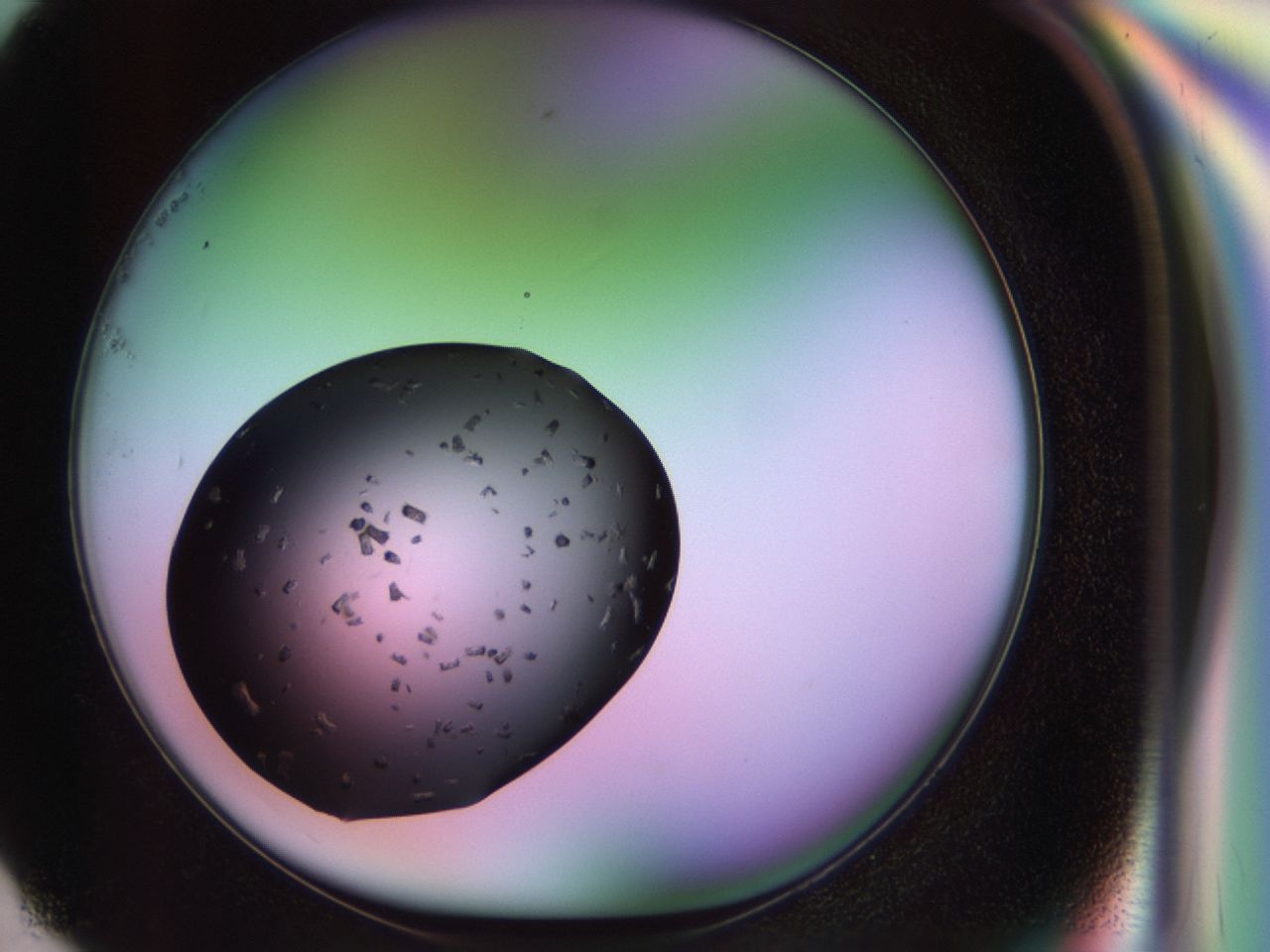 02pt_G1_ImagerDefaults_9.jpg