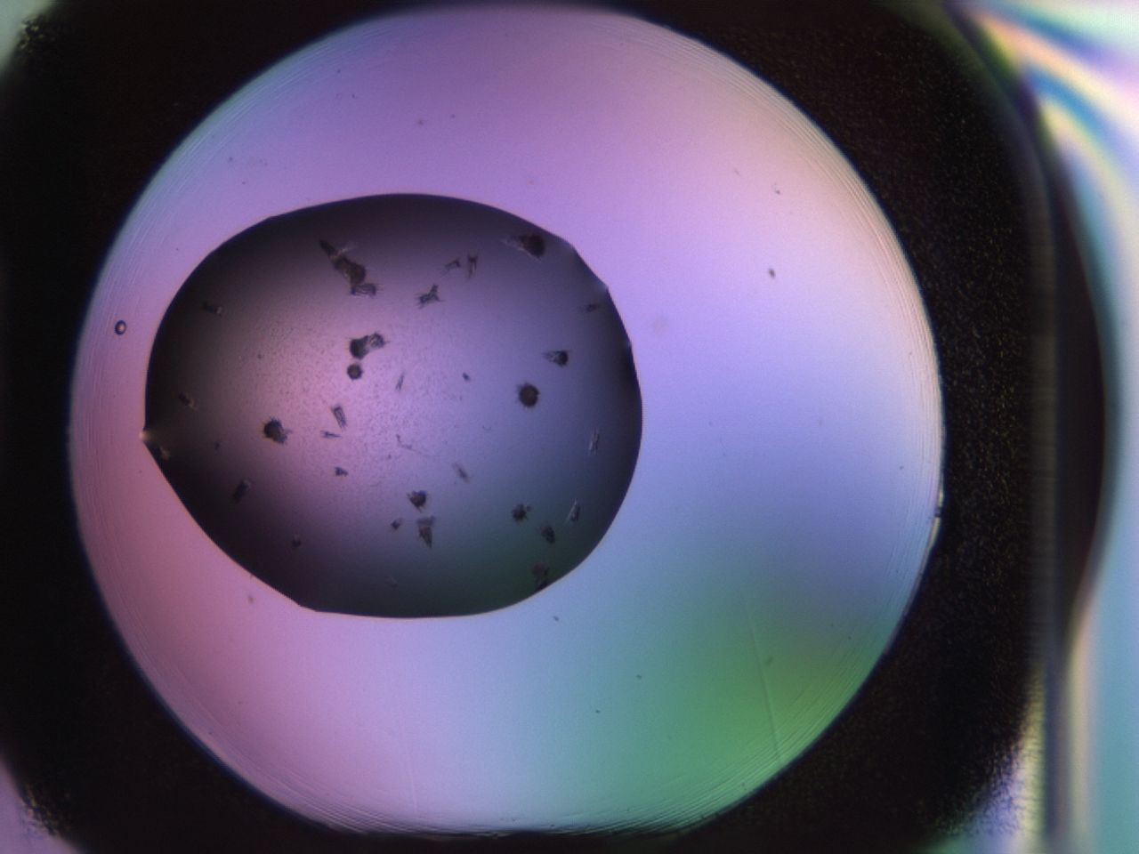 02pt_H3_ImagerDefaults_9.jpg