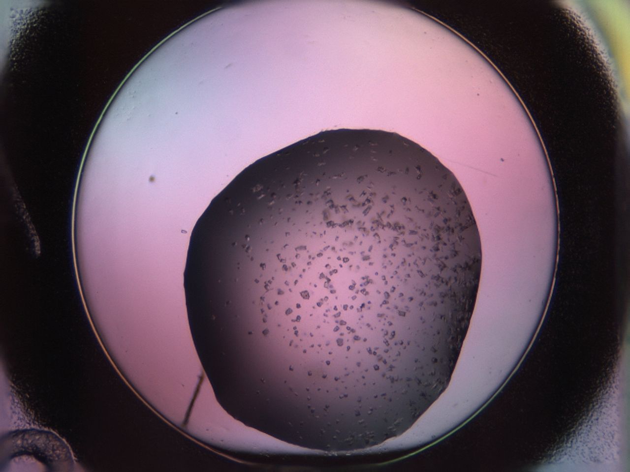 02pt_A12_ImagerDefaults_6.jpg