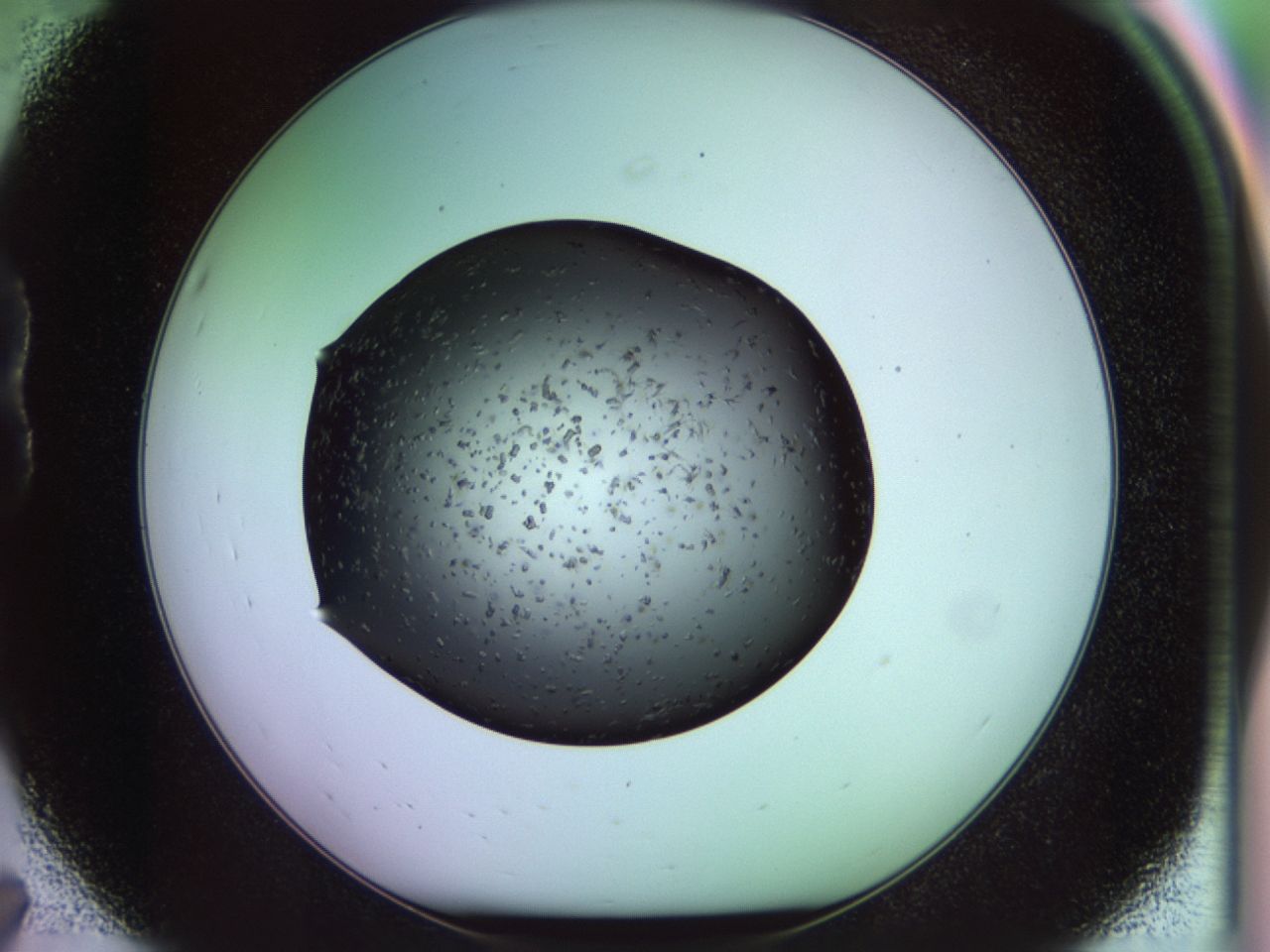 02pt_B7_ImagerDefaults_6.jpg