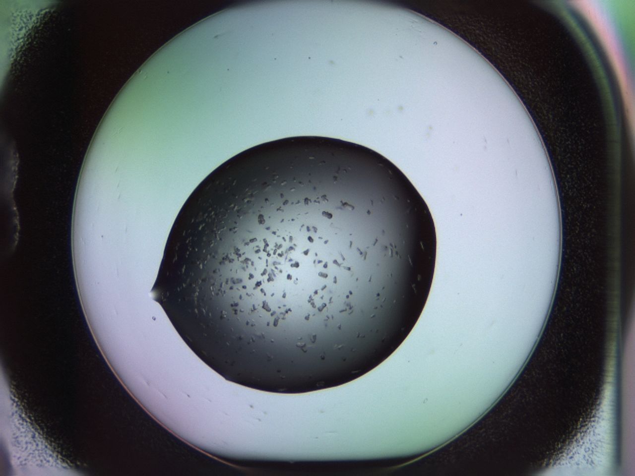 02pt_B8_ImagerDefaults_6.jpg