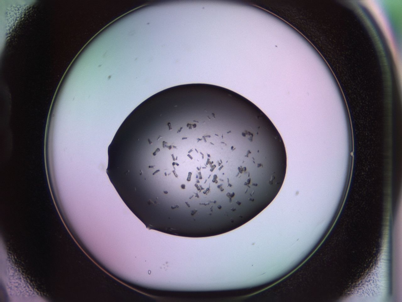 02pt_B9_ImagerDefaults_9.jpg