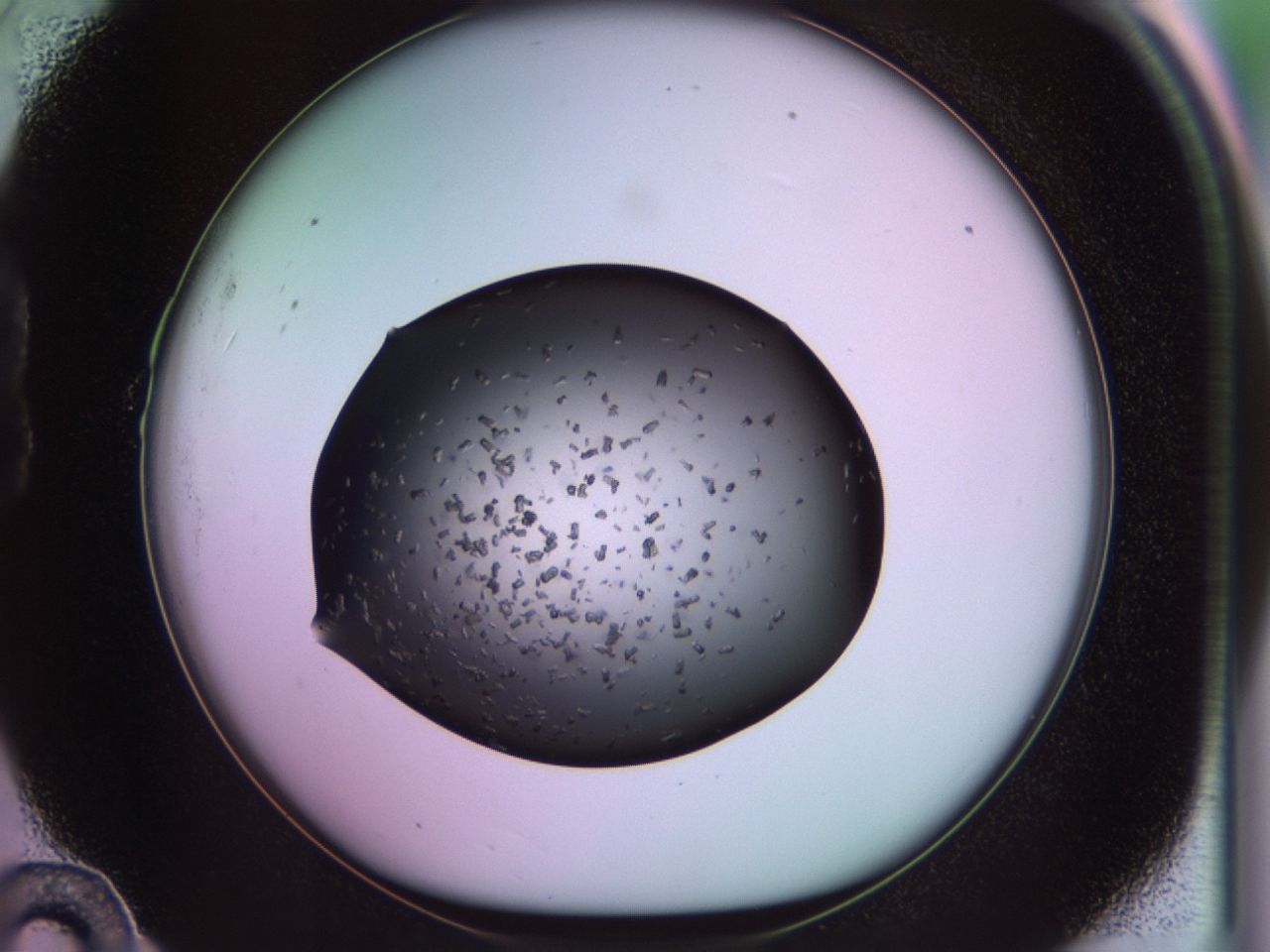 02pt_B10_ImagerDefaults_9.jpg
