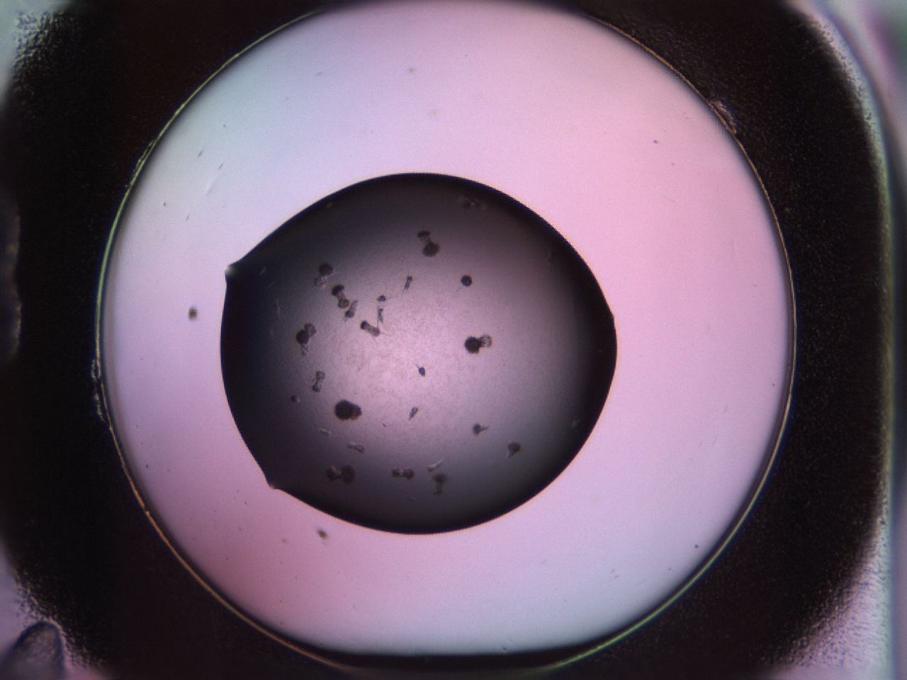 02pt_B11_ImagerDefaults_9.jpg