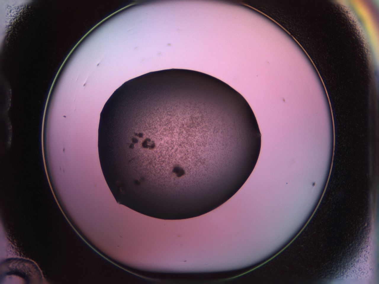 02pt_B12_ImagerDefaults_7.jpg
