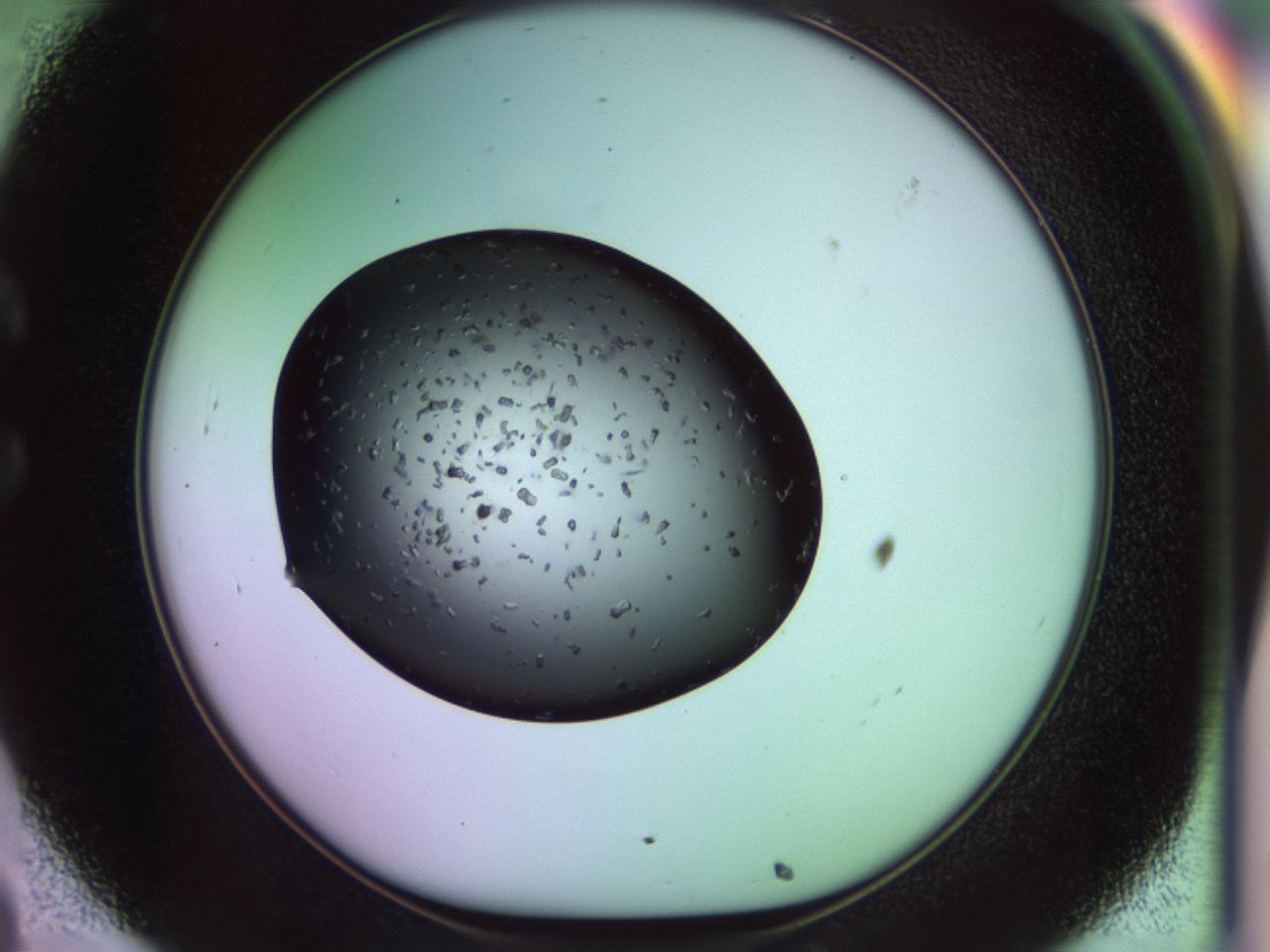 02pt_C8_ImagerDefaults_9.jpg