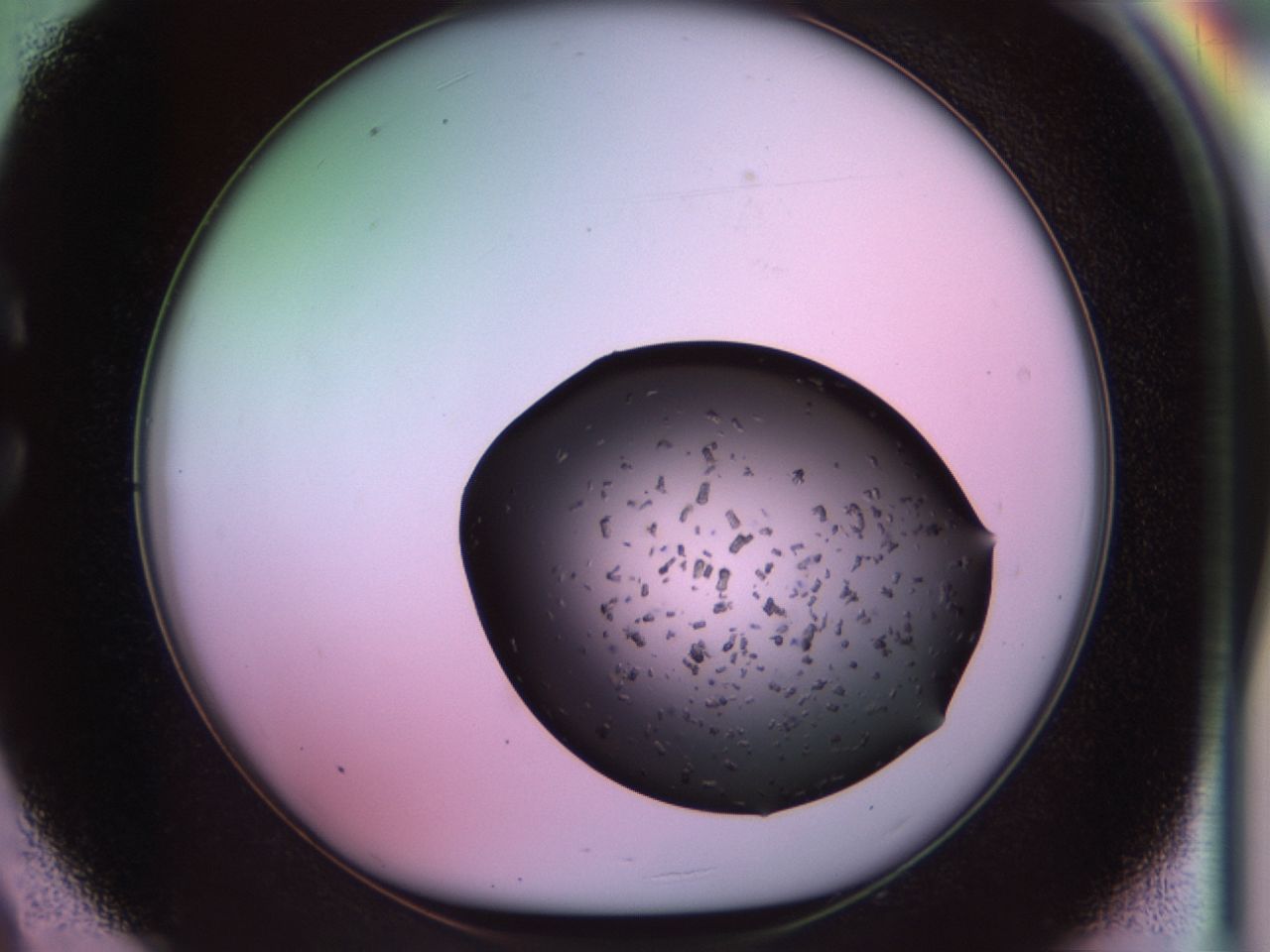 02pt_C9_ImagerDefaults_9.jpg