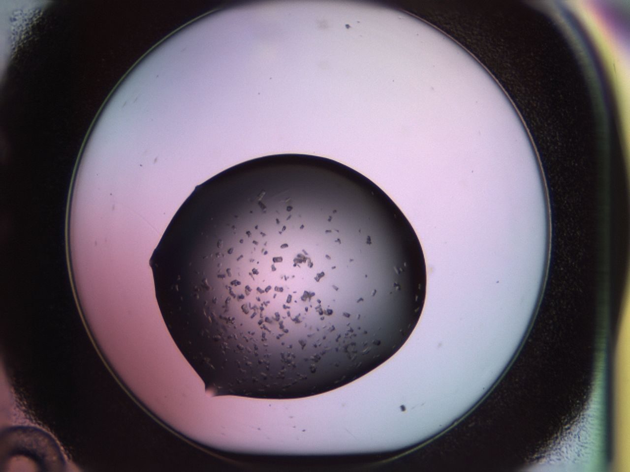 02pt_C10_ImagerDefaults_9.jpg