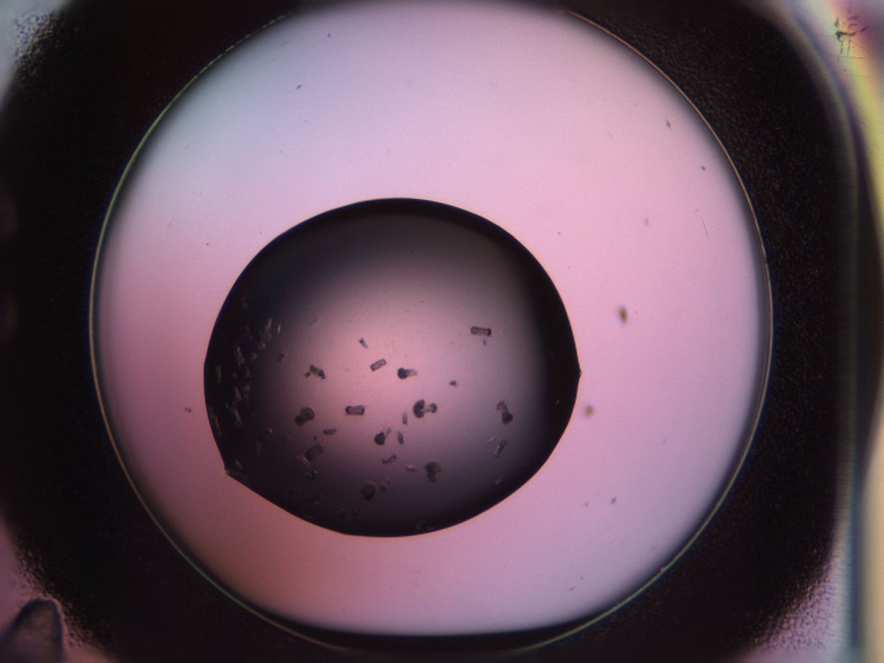 02pt_C11_ImagerDefaults_9.jpg
