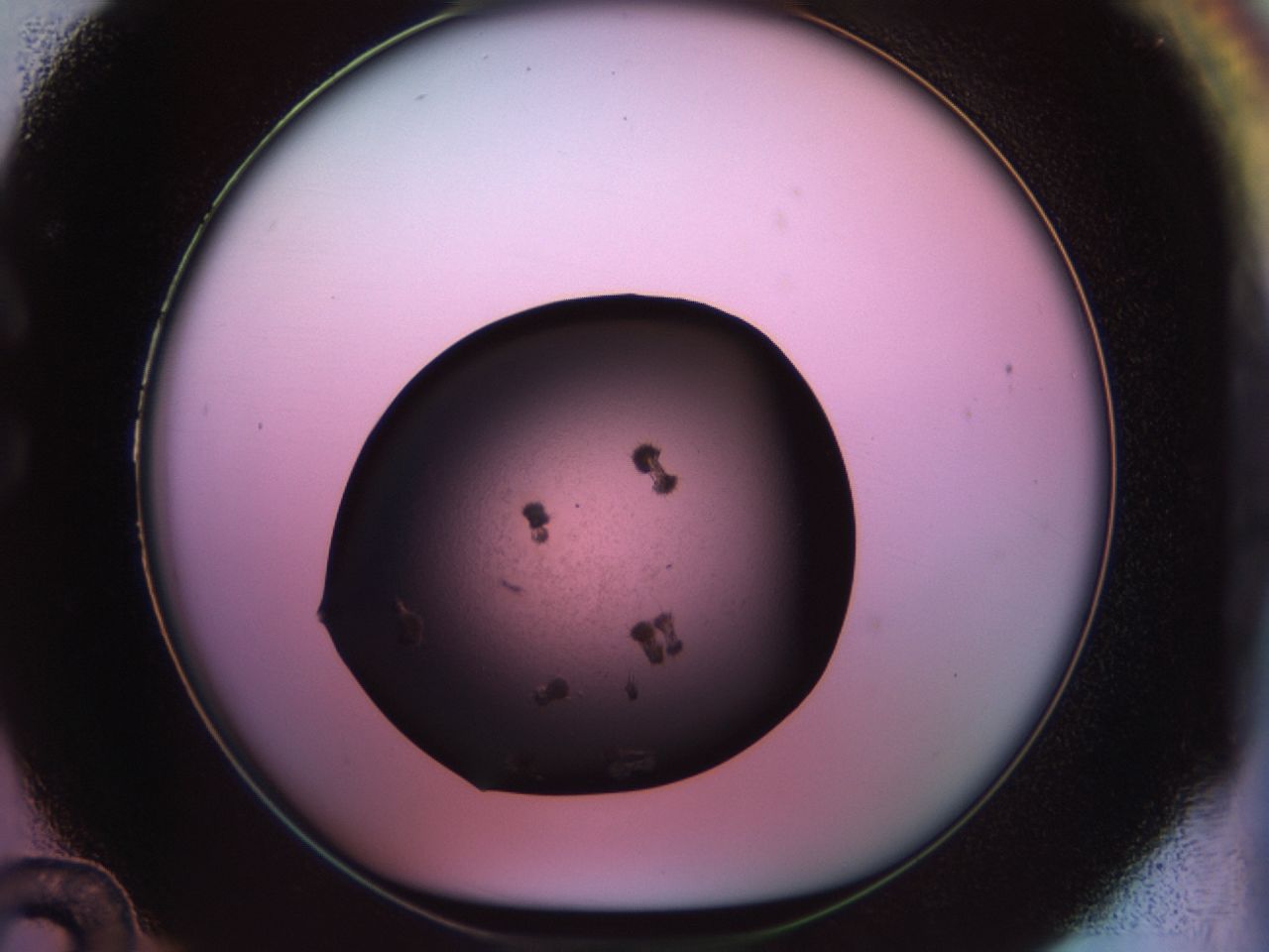 02pt_C12_ImagerDefaults_9.jpg