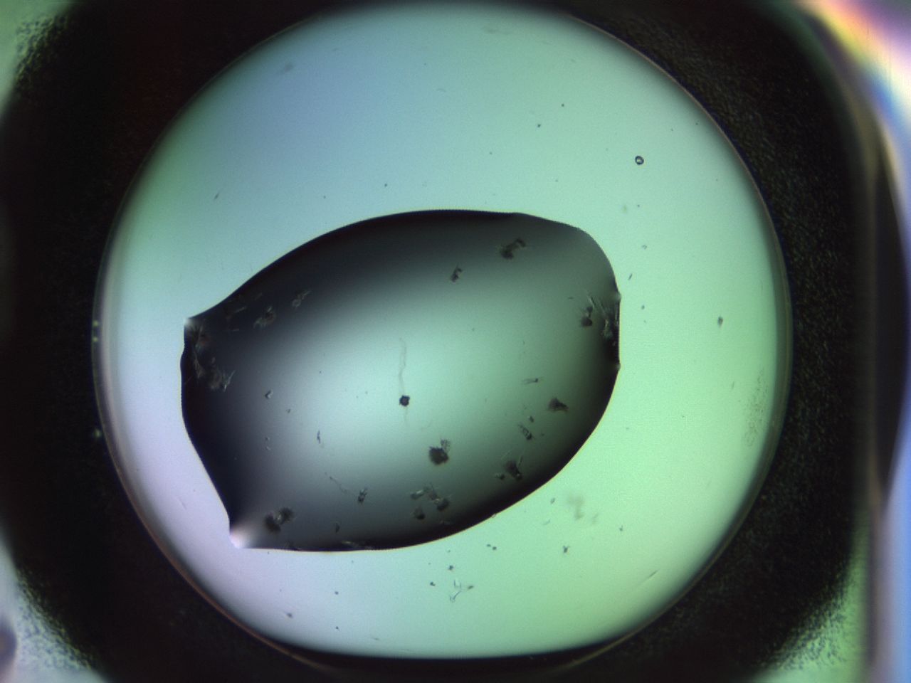02pt_D7_ImagerDefaults_9.jpg