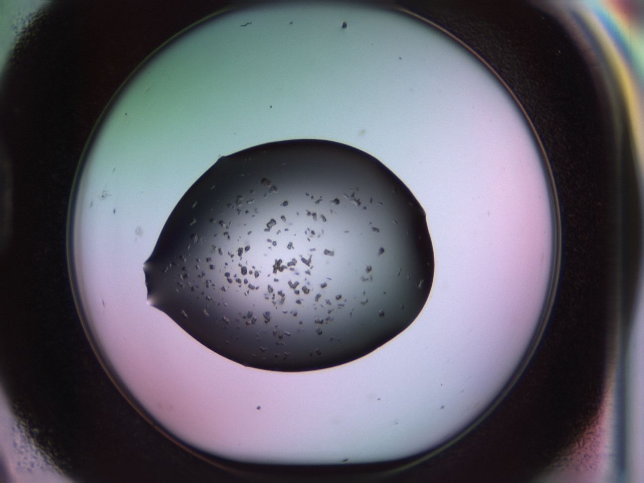 02pt_D9_ImagerDefaults_9.jpg