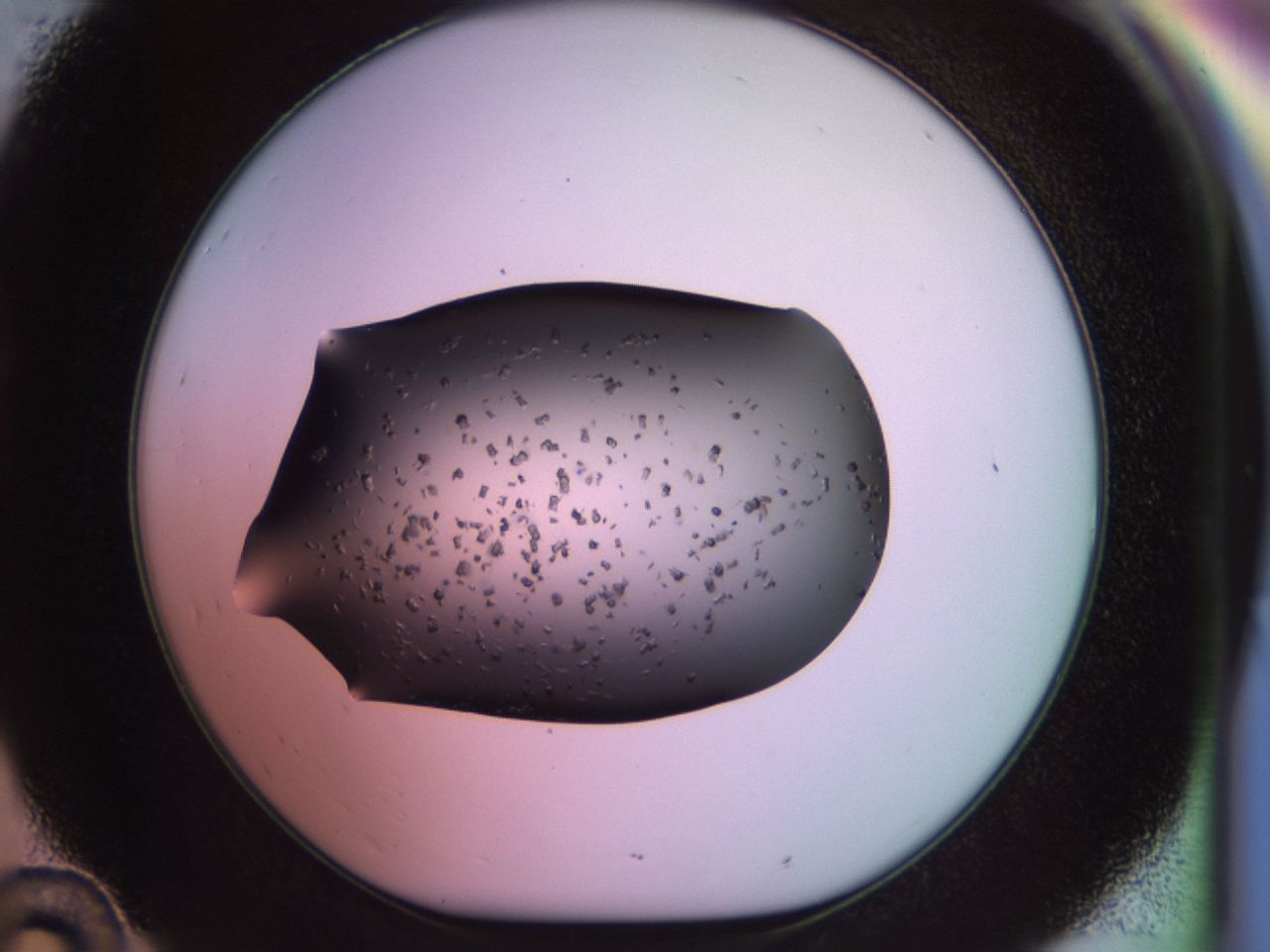 02pt_D10_ImagerDefaults_9.jpg