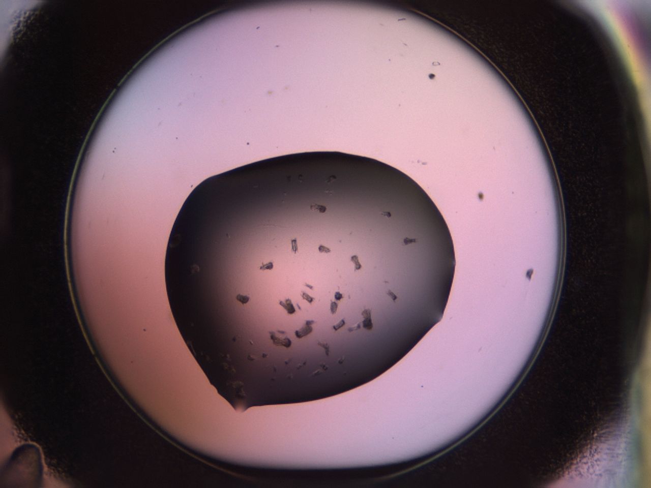 02pt_D11_ImagerDefaults_9.jpg
