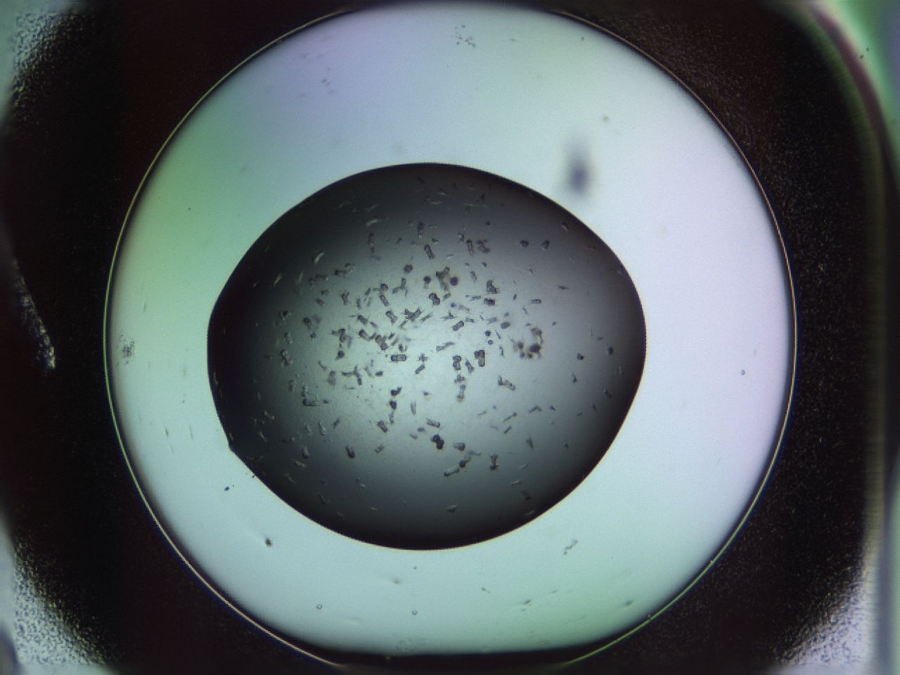 02pt_A8_ImagerDefaults_9.jpg