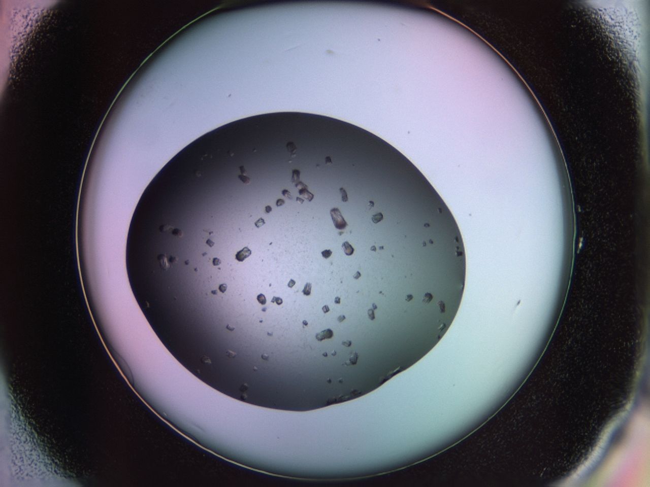 02pu_A1_ImagerDefaults_9.jpg