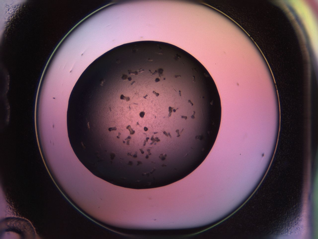 02pu_B12_ImagerDefaults_9.jpg